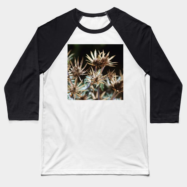 Spikey Seed heads Baseball T-Shirt by Jonesyinc